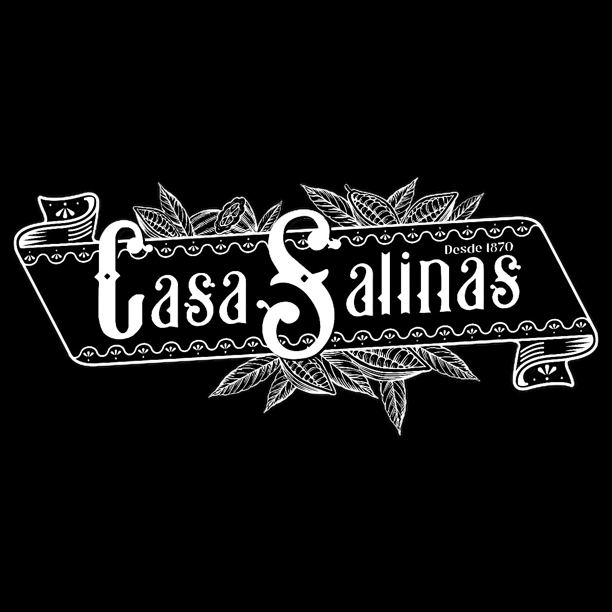 casa-salinas-b-n